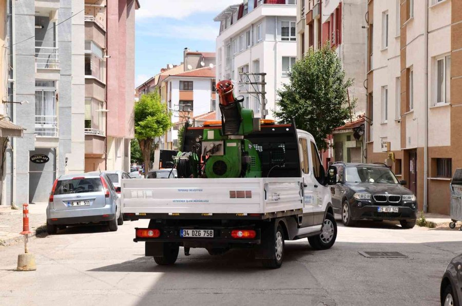 İlaçlama Çalışmaları Sürüyor