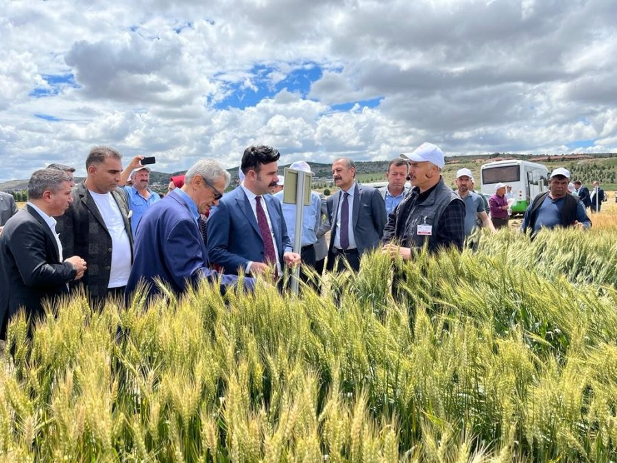 Türkiye’nin İlk Tarım Enstitüsünde "tarla Günü" Düzenlendi
