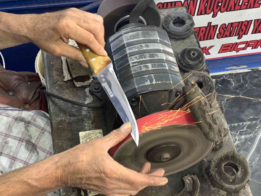 İyi Bıçak Hayvana Daha Az Acı Verir