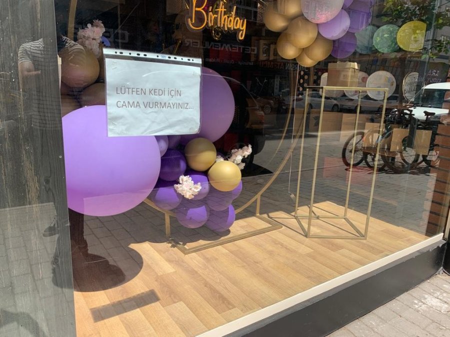 Kedisinin Korkmaması Adına Çözümü Yazı Asmakta Buldu