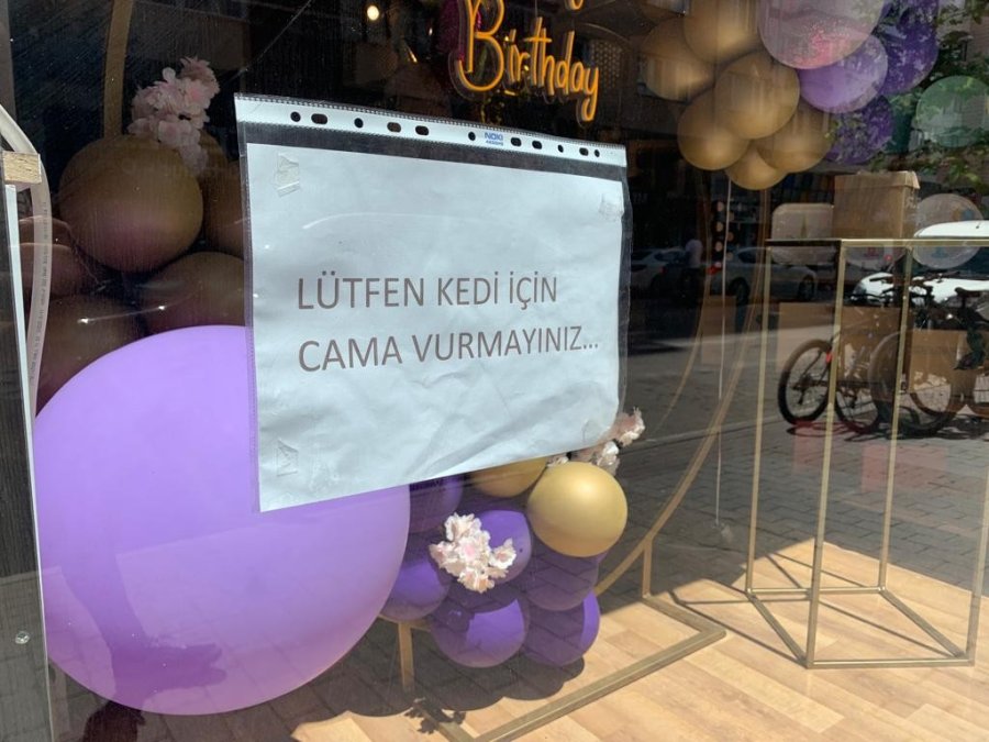 Kedisinin Korkmaması Adına Çözümü Yazı Asmakta Buldu