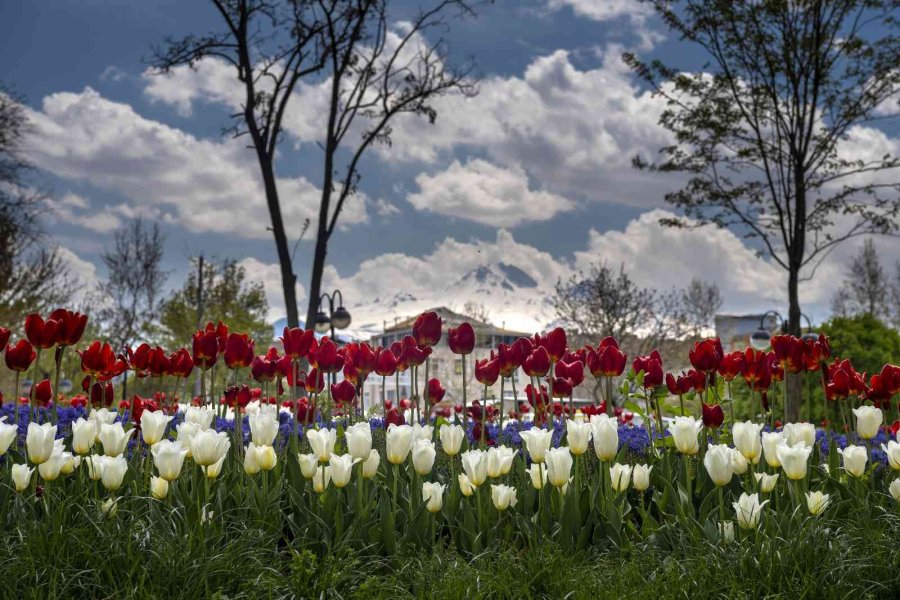 Büyükşehir Belediyesinden ’en Güzel Bahçe’ Yarışması