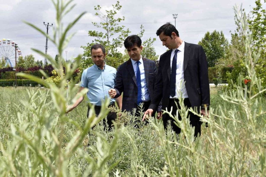 Kop Desteklerine Yerinde İnceleme