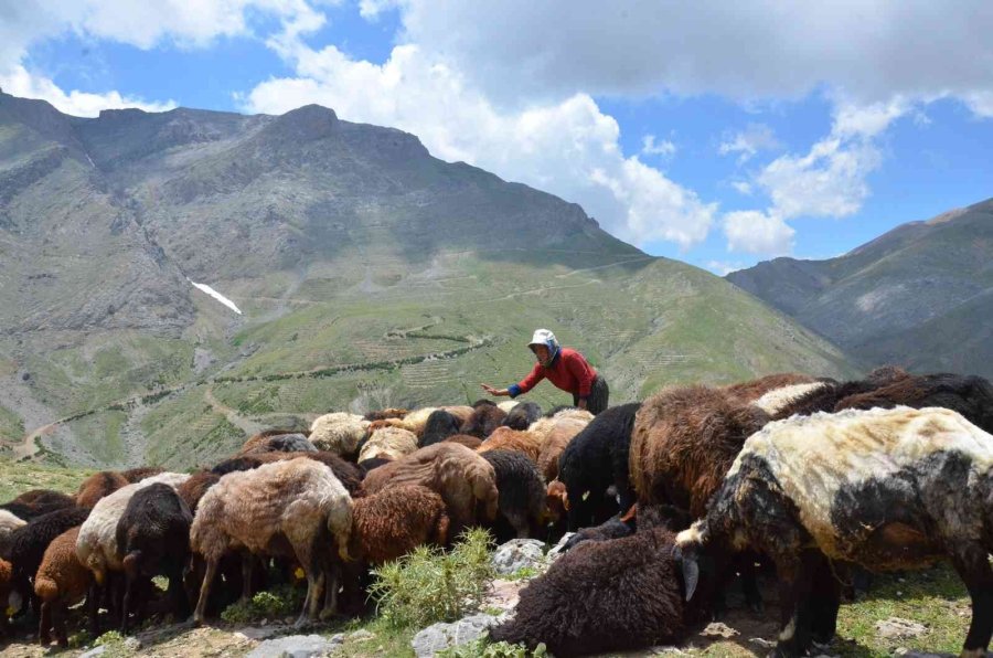 Büyükşehir Belediyesinden Yörüklere, Hijyen Kolisi, Oyuncak Ve Şeker