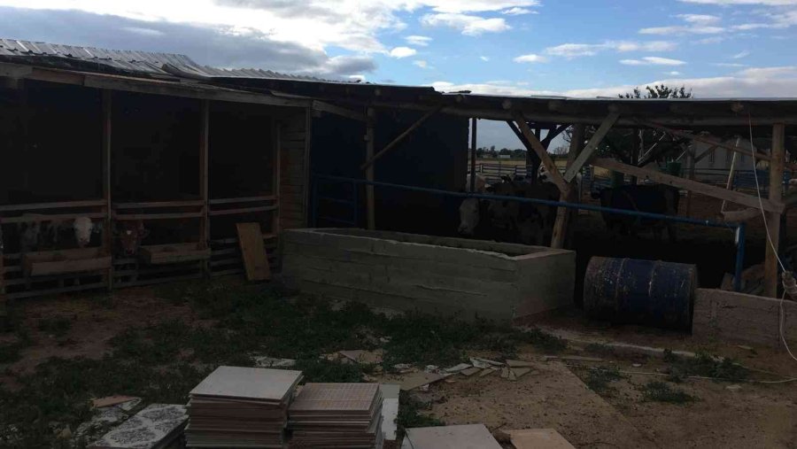 Kurban Bayramı Öncesi Besicilik Yapan Köylüyü Dolandıran Çete Çökertildi