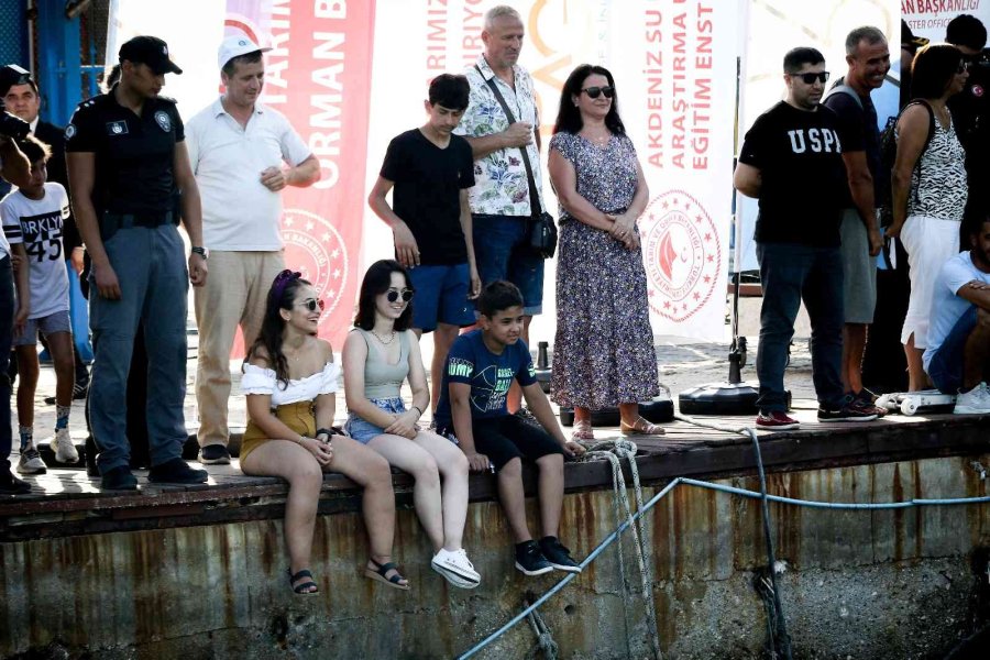 Antalya’da İptal Edilen Yağlı Direk Bayrak Yarışması Renkli Görüntülere Sahne Oldu