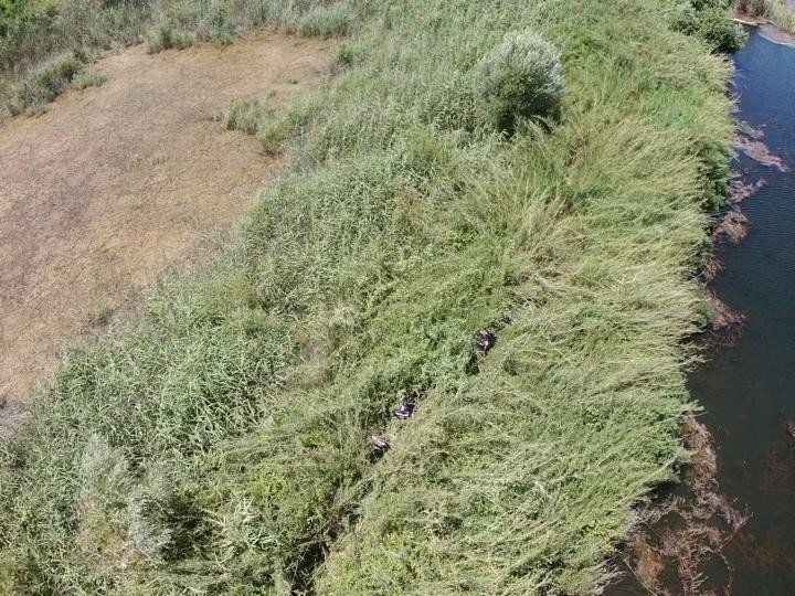 Sazlıklar Arasında Kenevir Üretimine Jandarma Baskını