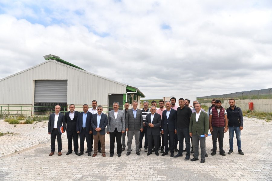 Başkan Büyükkılıç’tan Felahiye’de Hayvancılığa Yeni Hamle