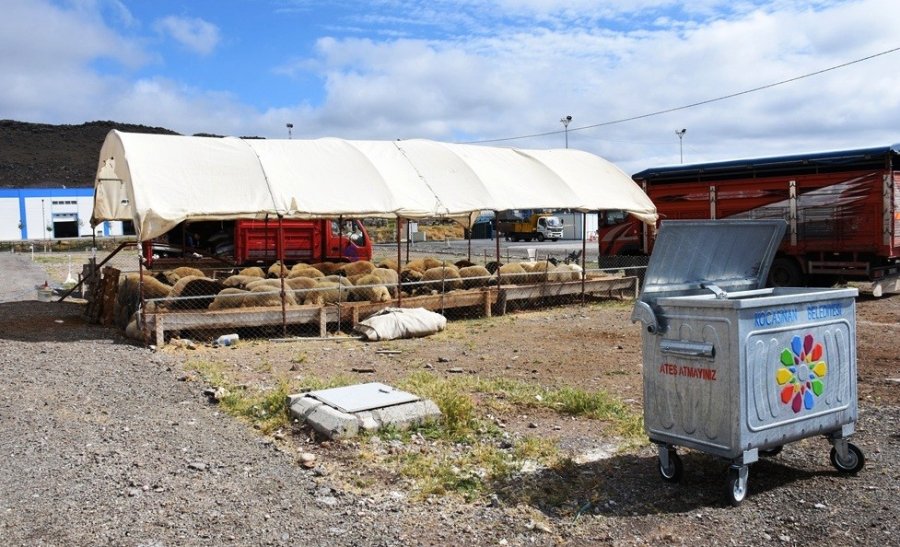 Kocasinan Belediyesi’nin Profesyonel Kurban Hizmeti, Çiftçilerin Takdirini Kazandı