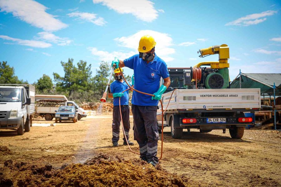 Kurban Satış Ve Kesim Noktaları İlaçlanıyor