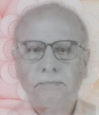 Bisikletle Yaya Geçidinden Geçerken Aracın Çarptığı Alman Hayatını Kaybetti