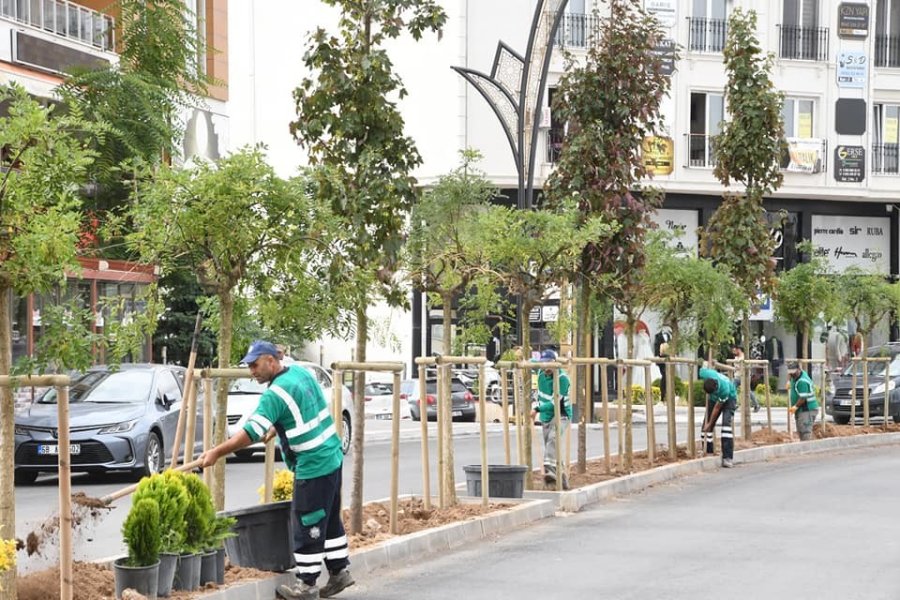 Yeşil Aksaray İçin Ağaçlandırma Çalışmaları Sürüyor