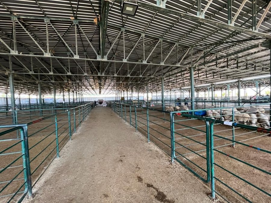 Boş Kalan Hayvan Pazarlarında Umutlu Bekleyiş