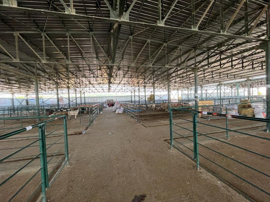 Boş Kalan Hayvan Pazarlarında Umutlu Bekleyiş