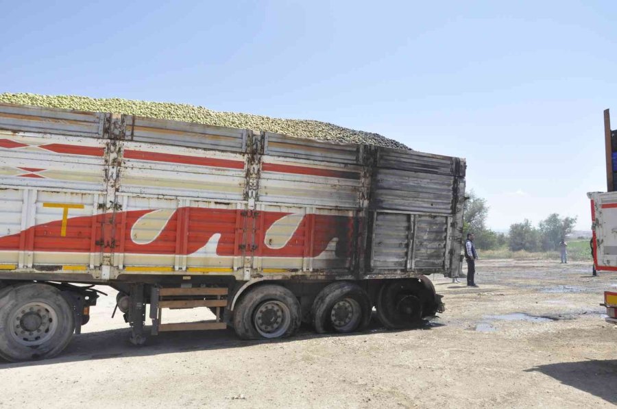 Park Halindeki Kayısı Yüklü Tır Yandı, İçinde Uyuyan Sürücü Son Anda Dışarı Çıktı