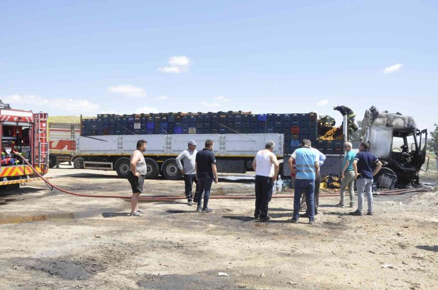Park Halindeki Kayısı Yüklü Tır Yandı, İçinde Uyuyan Sürücü Son Anda Dışarı Çıktı