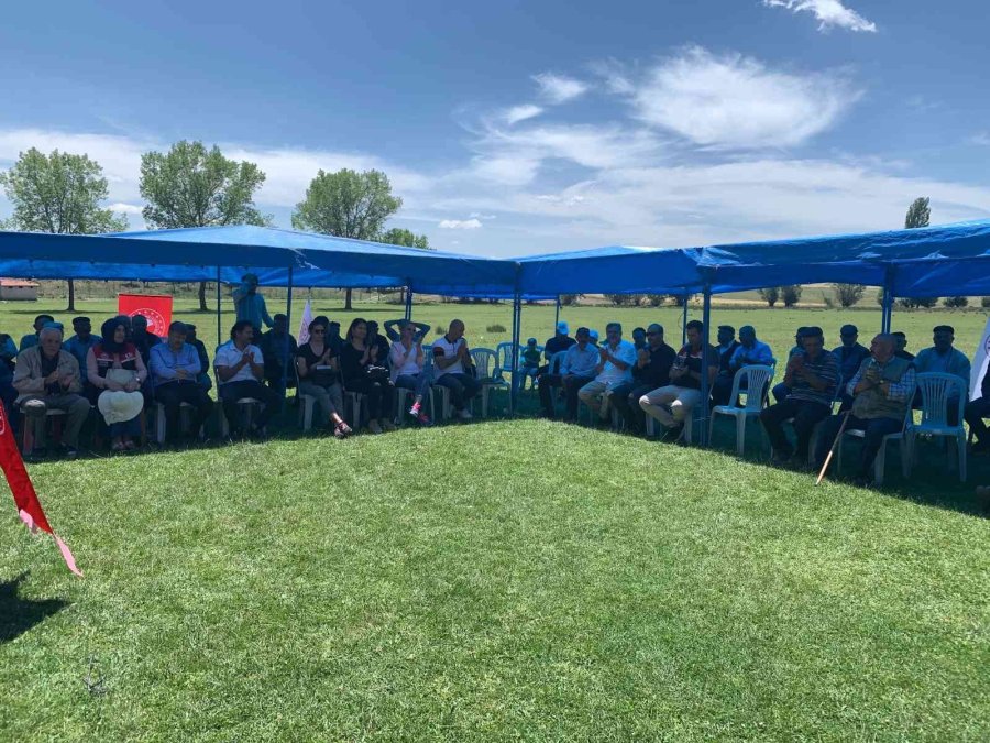 Anadolu’nun Yenilenebilir Bitkisel Enerji Kaynağı ’pelemir’