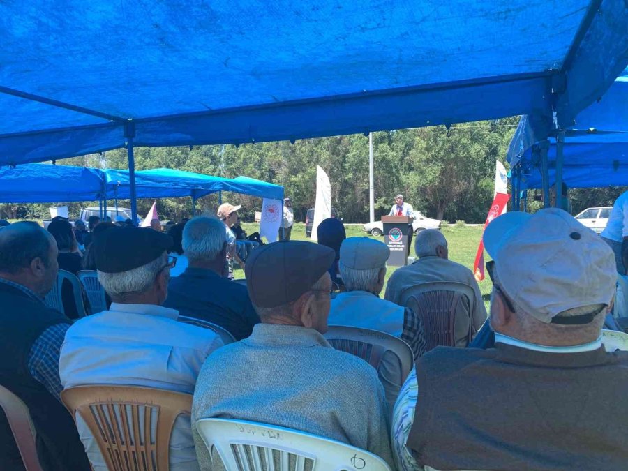 Anadolu’nun Yenilenebilir Bitkisel Enerji Kaynağı ’pelemir’