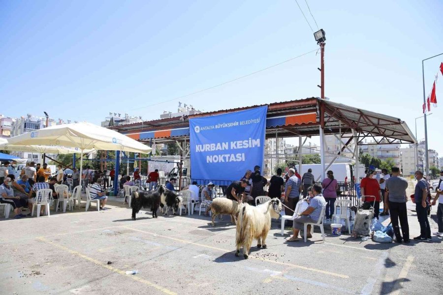 Büyükşehir’den Üç Noktada Ücretsiz Kurban Kesimi