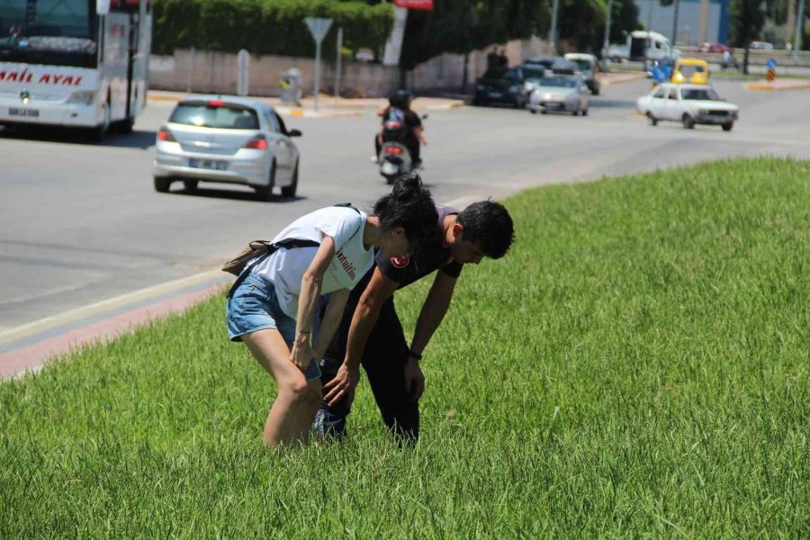 Hayanseverler Ve İtfaiyecilerden 40 Derece Sıcakta Kedi Kurtarma Seferberliği