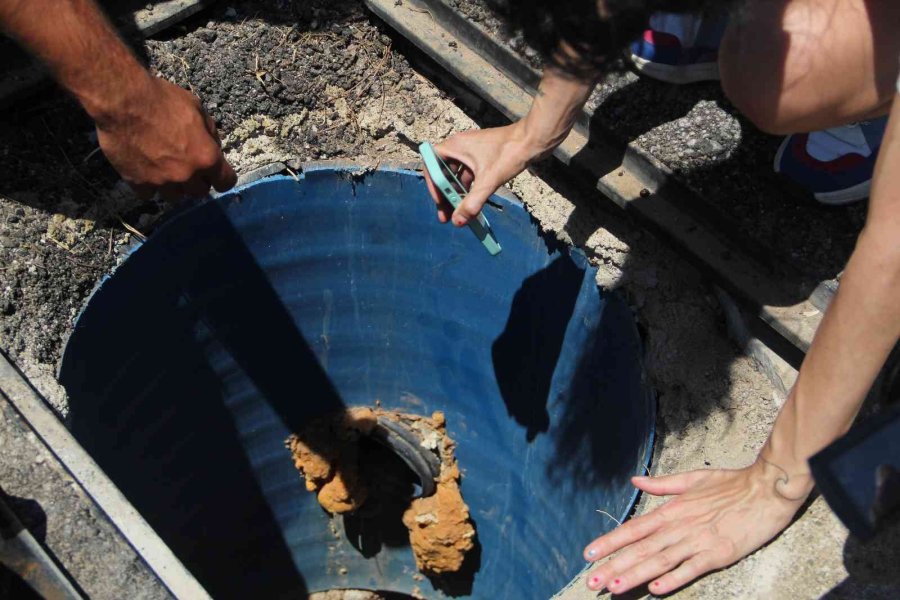 Hayanseverler Ve İtfaiyecilerden 40 Derece Sıcakta Kedi Kurtarma Seferberliği