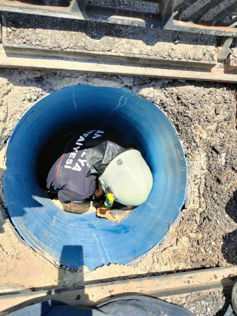 Hayanseverler Ve İtfaiyecilerden 40 Derece Sıcakta Kedi Kurtarma Seferberliği