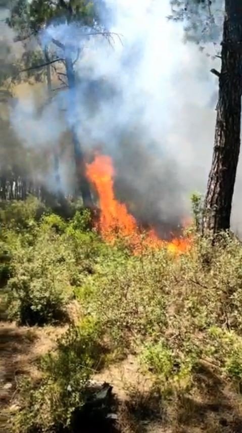 Antalya’da Ormanlık Alanda Çıkan Yangında Kibrit Kutuları Bulundu