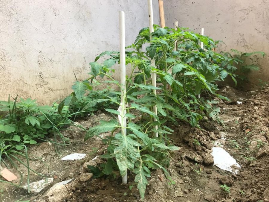 Cumhurbaşkanı Erdoğan’ın Sözünden Etkilendi, Minik Bahçeyi Yeşertti