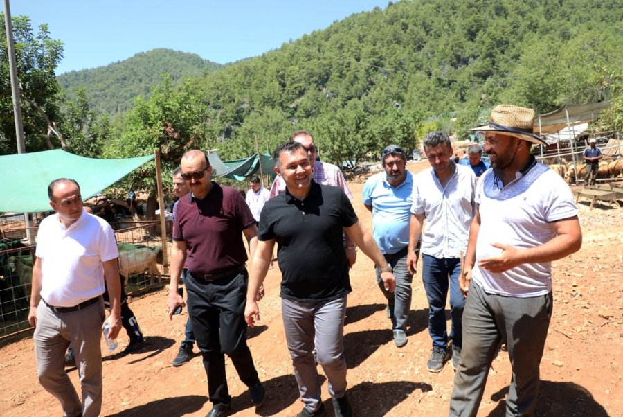 Alanya’da Kapalı Hayvan Pazarı Ve Kurban Satış Yeri Hizmete Girdi