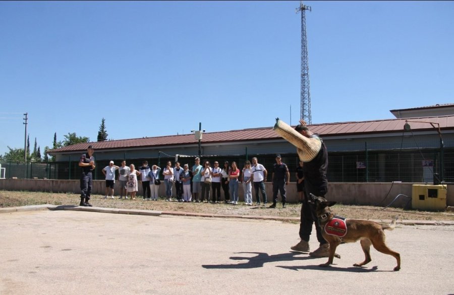 Özel Çocuklardan Jandarma Köpek Timine Ziyaret