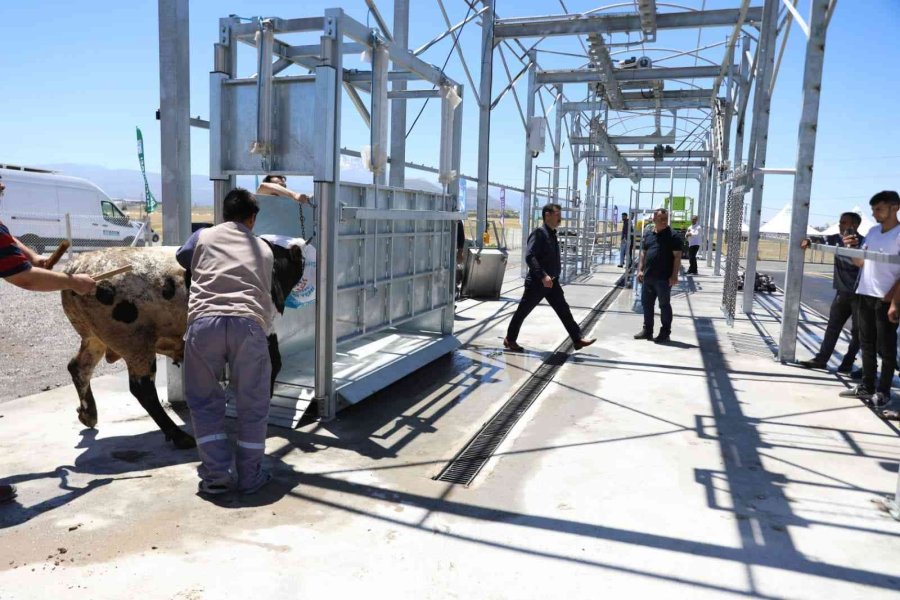 Melikgazi Belediyesi Kurban Bayramı’na Hazır