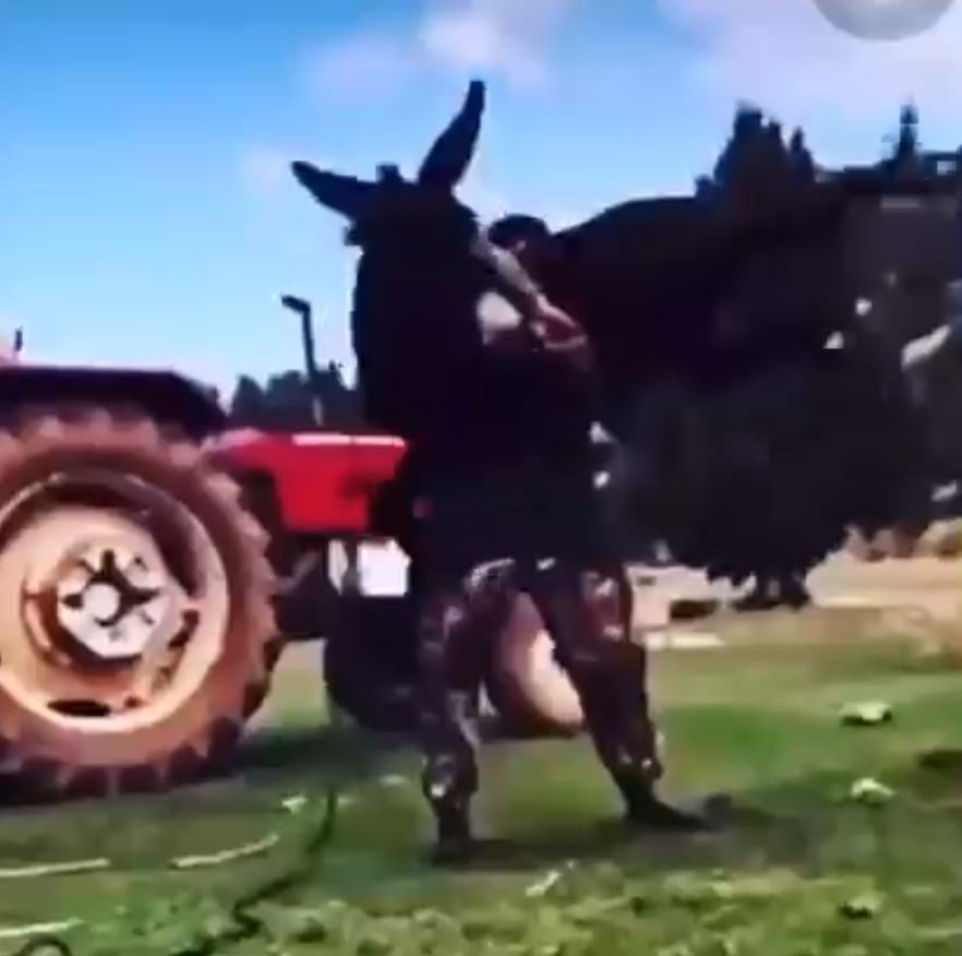 Kırkpınar Başpehlivanının Başarısında ’eşek’ Sırrı