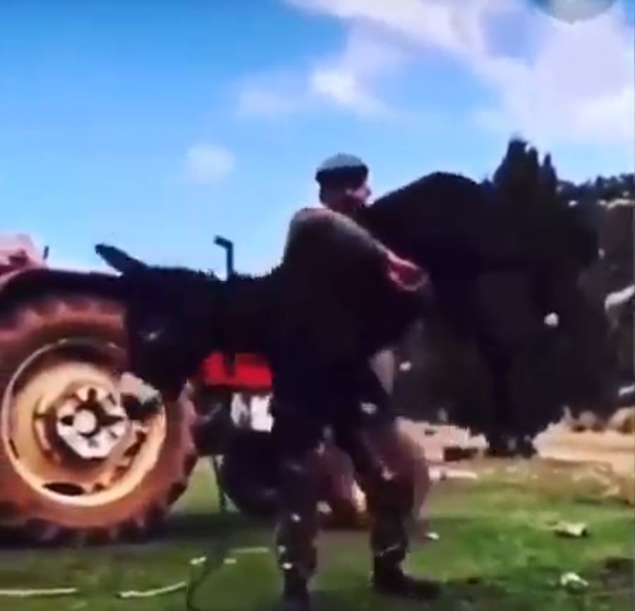 Kırkpınar Başpehlivanının Başarısında ’eşek’ Sırrı