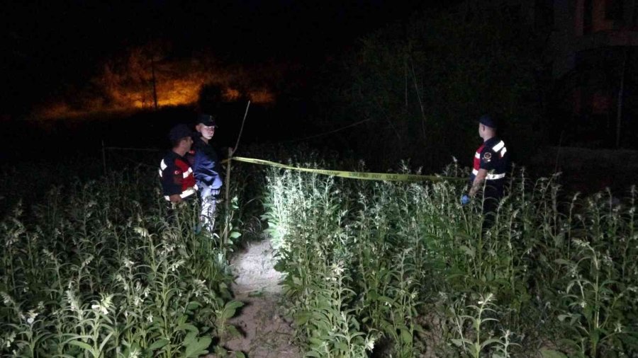 Antalya’da 16 Yaşındaki Çocuk, Susam Tarlasında Tüfekle Vurulmuş Halde Bulundu