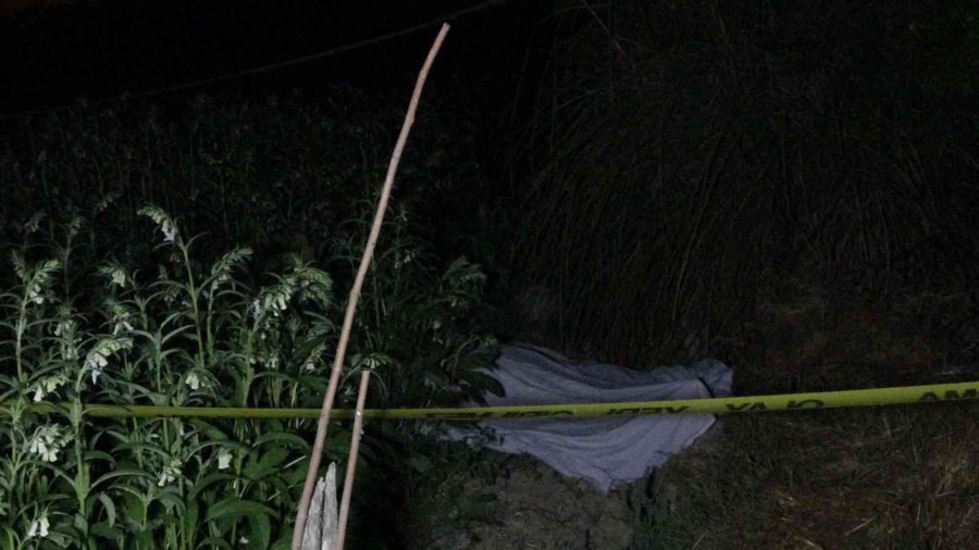 Antalya’da 16 Yaşındaki Çocuk, Susam Tarlasında Tüfekle Vurulmuş Halde Bulundu