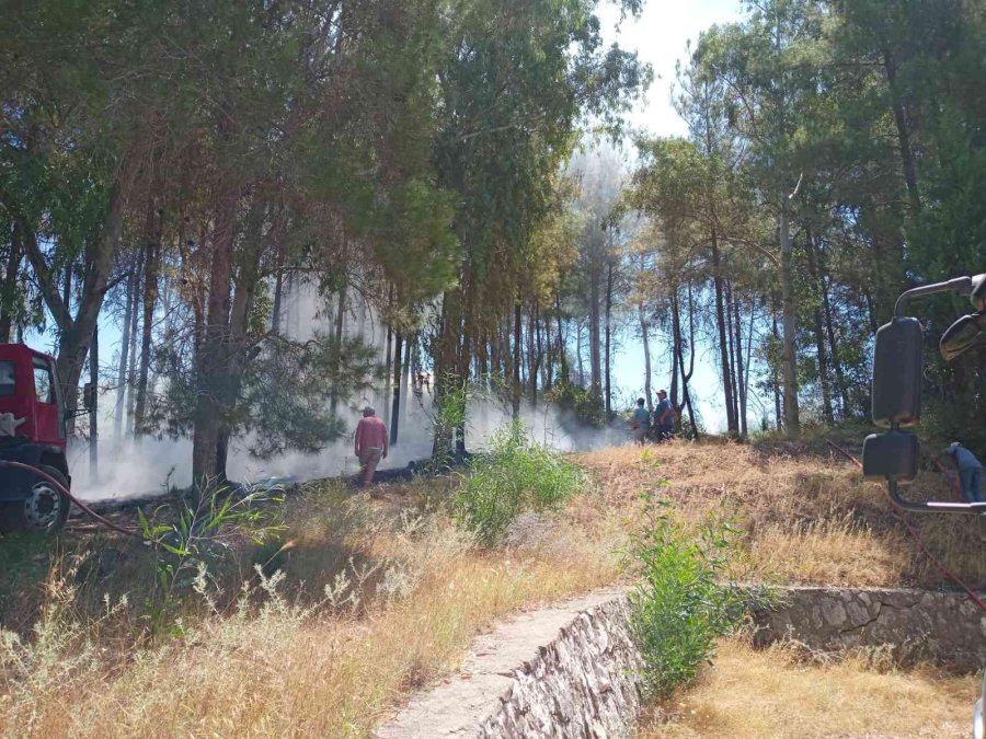 Serik’te Orman Yangını Kontrol Altına Alındı