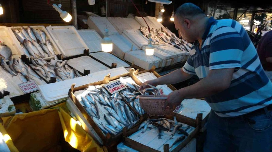 Av Yasağından Sonra Tezgahlar Boş Kaldı, ’sardalya’ Vatandaşın Vazgeçilmezi Oldu
