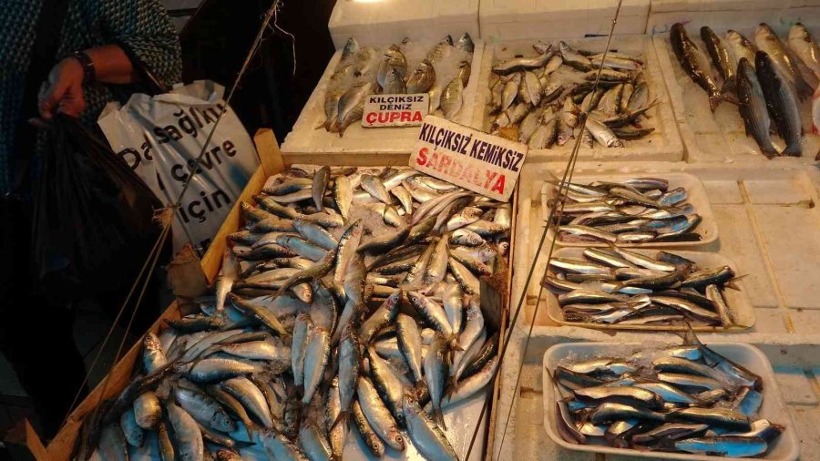 Av Yasağından Sonra Tezgahlar Boş Kaldı, ’sardalya’ Vatandaşın Vazgeçilmezi Oldu