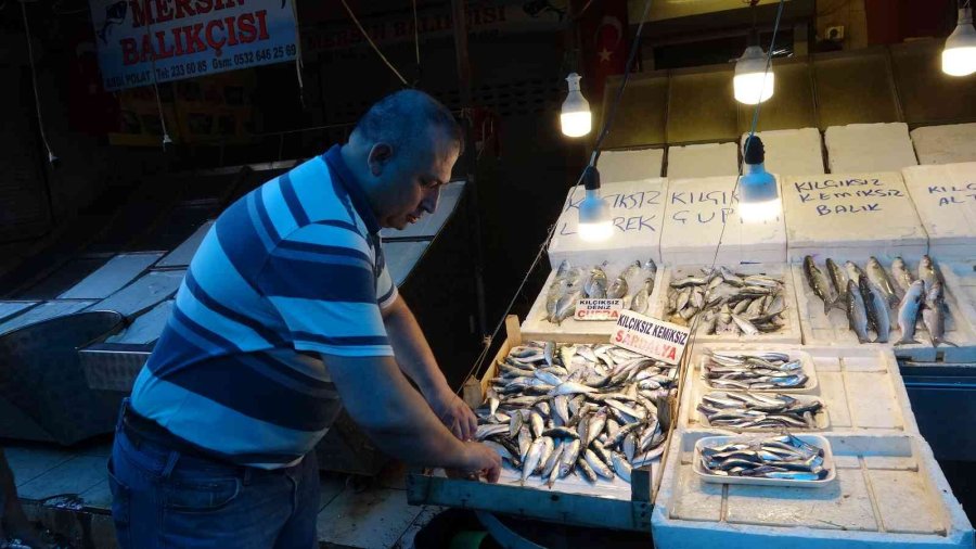 Av Yasağından Sonra Tezgahlar Boş Kaldı, ’sardalya’ Vatandaşın Vazgeçilmezi Oldu