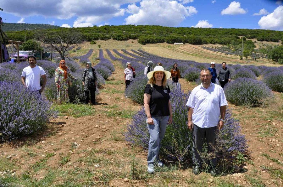 Frigyalı Kadın Çiftçiler ’lavanta Kokulu Köy’de