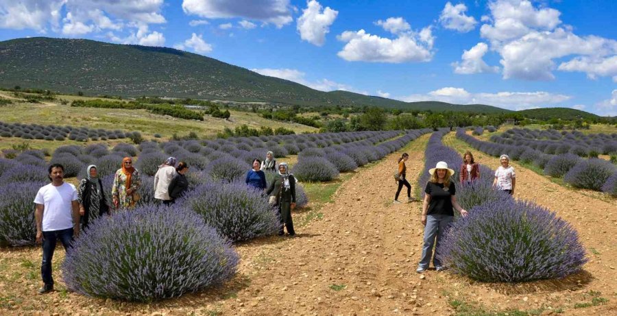 Frigyalı Kadın Çiftçiler ’lavanta Kokulu Köy’de