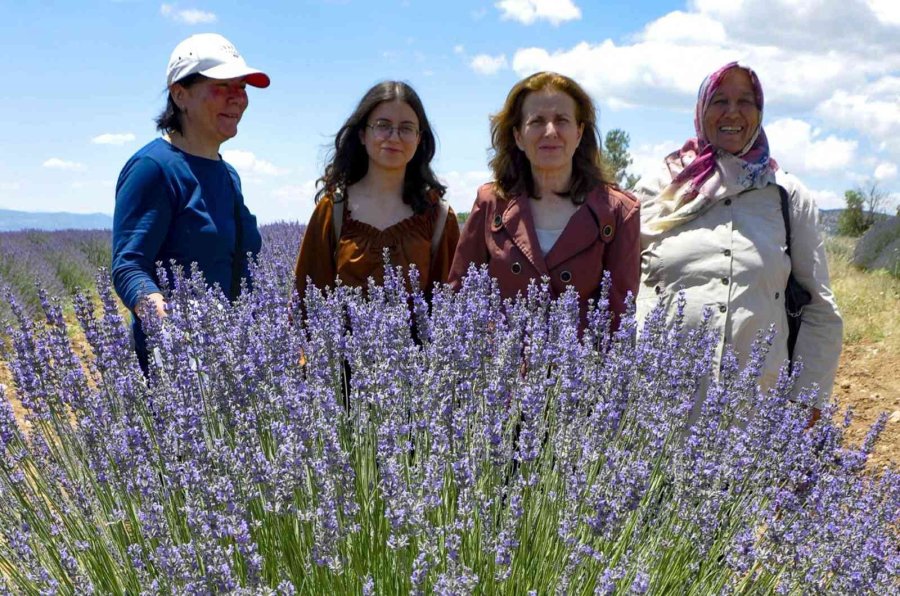 Frigyalı Kadın Çiftçiler ’lavanta Kokulu Köy’de