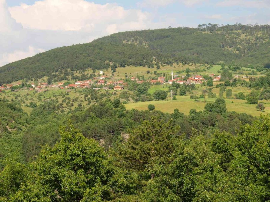Eskişehir’deki Ormanlık Alanlara Girişler Yasaklandı
