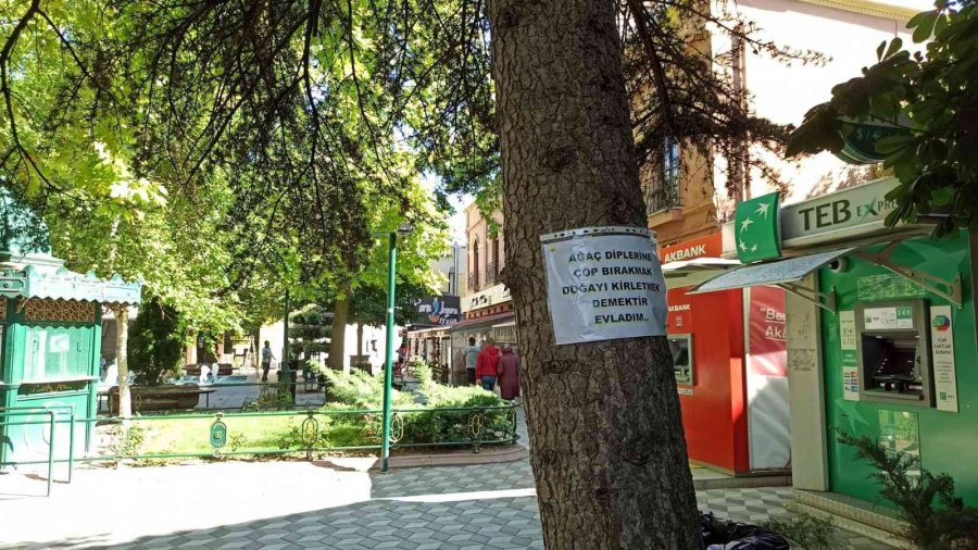 Ağaçlara Asılan Notlarla Doğaya, Canlıya Saygı Ve Çevre Kirliliğine Dikkat Çekildi