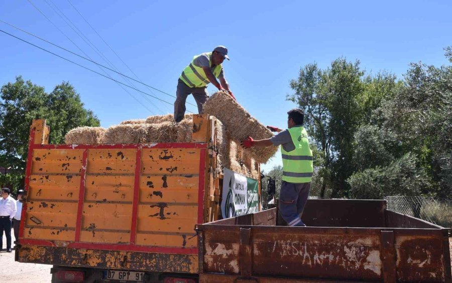 Kepez’de Hayvancılıkla Uğraşan Çiftçilere Saman Desteği