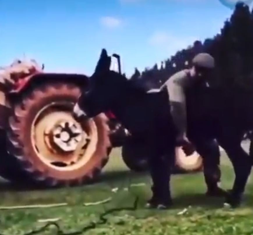 Kırkpınar Başpehlivanının Başarısında ’eşek’ Sırrı