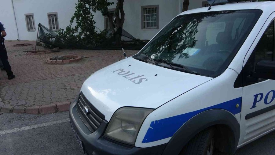 Dut Toplamak İçin Çıktığı Ağaçtan Düşen Yaşlı Adam Yaşamını Yitirdi