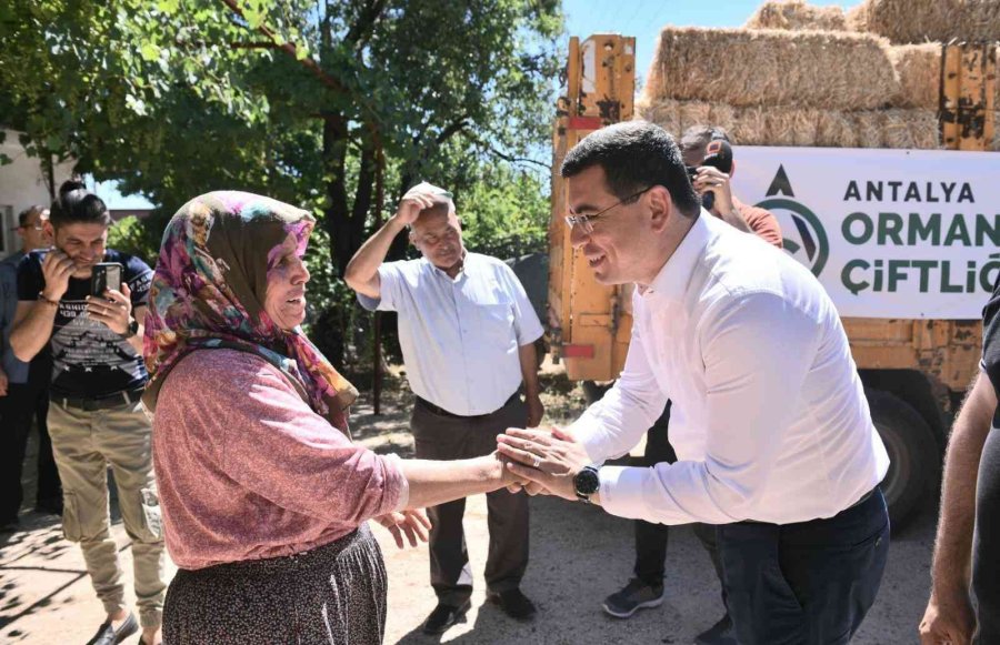 Kepez’de Hayvancılıkla Uğraşan Çiftçilere Saman Desteği