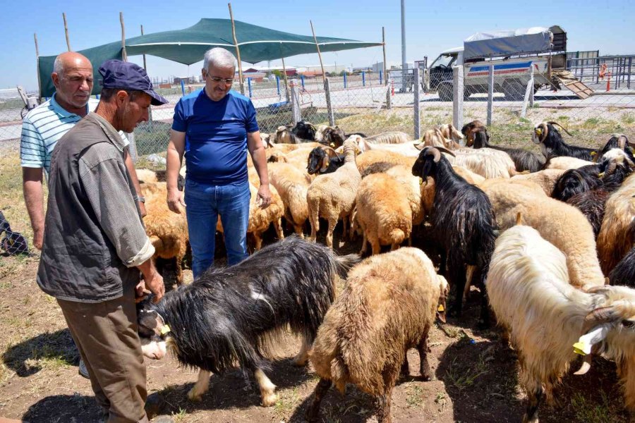 Meram Kurban Bayramına Hazır