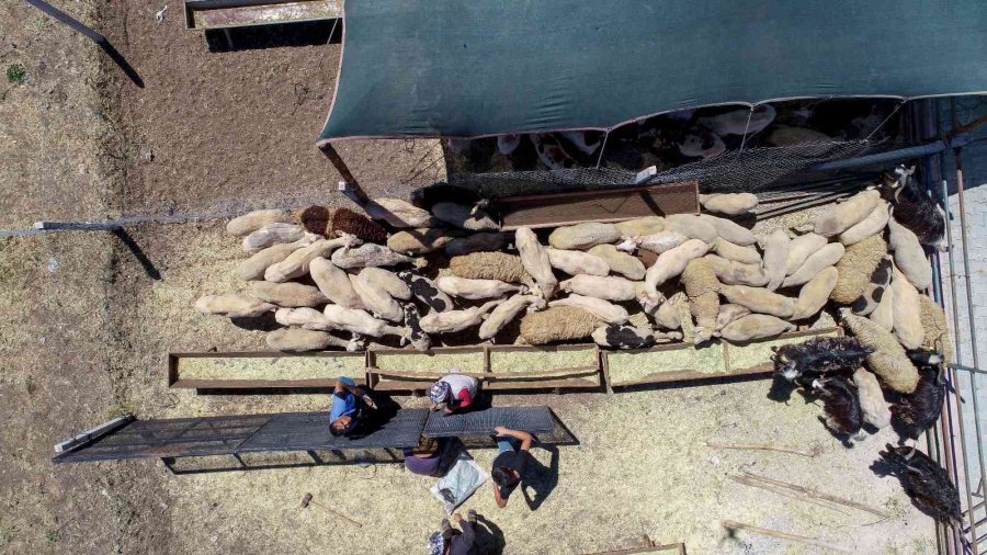 Meram Kurban Bayramına Hazır